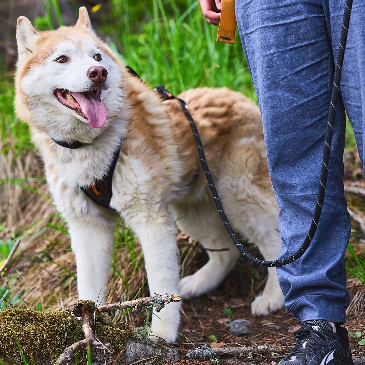 Non-Stop Rock leash adjustable black