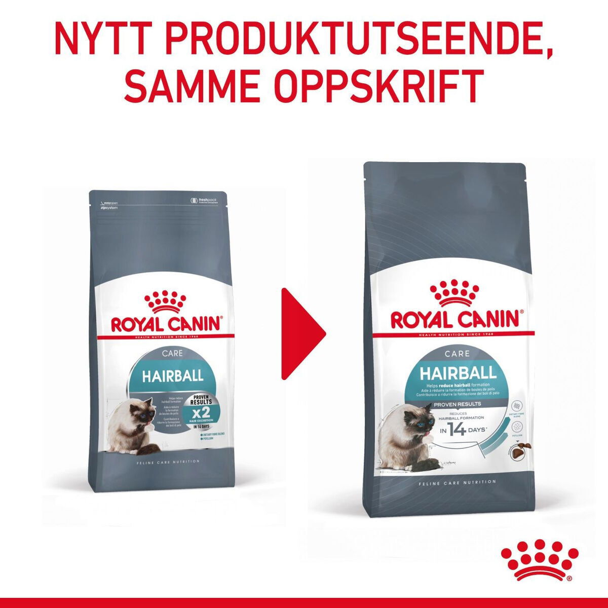 Royal Canin Hairball Care Adult tørrfôr til katt
