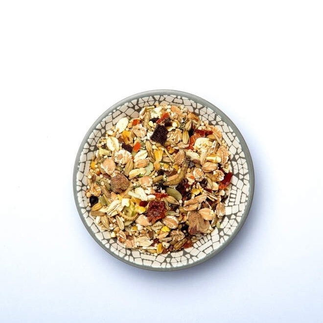 Bunny RatDream Expert