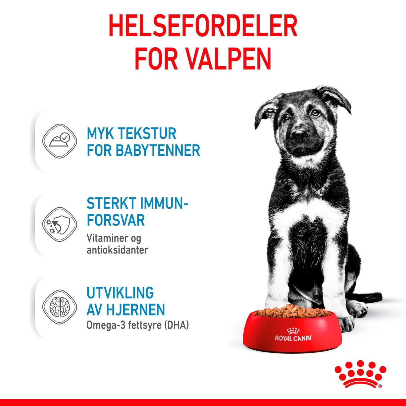 Royal Canin Maxi Puppy Gravy våtfôr til valp