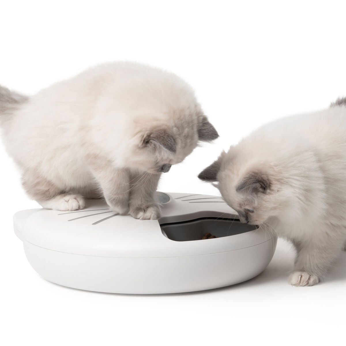 Catit PIXI Smart 6-meal feeder