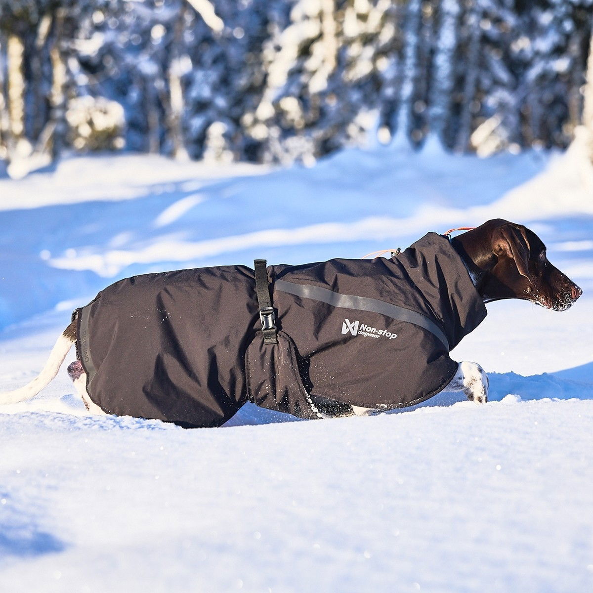 Non-Stop Trekking insulated dog jacket, black