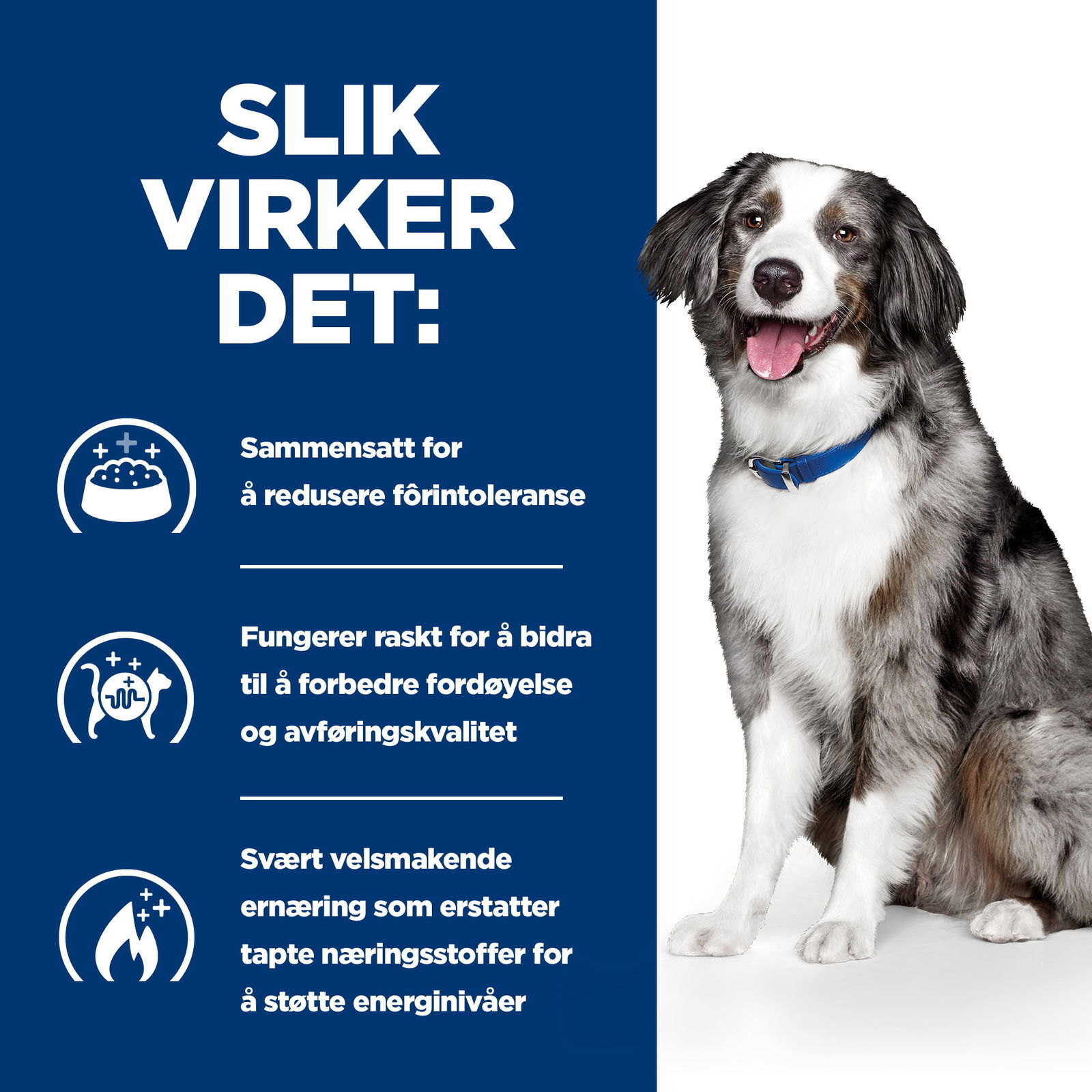 Hill's PRESCRIPTION DIET i/d Sensitive Dog Food Egg and Rice