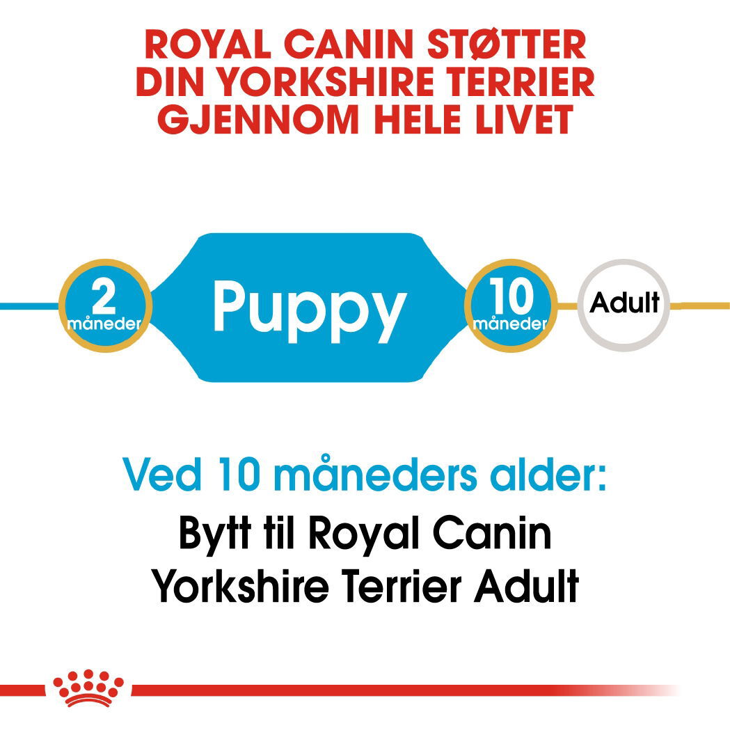 Royal Canin Yorkshire Terrier Puppy tørrfôr til hundvalp