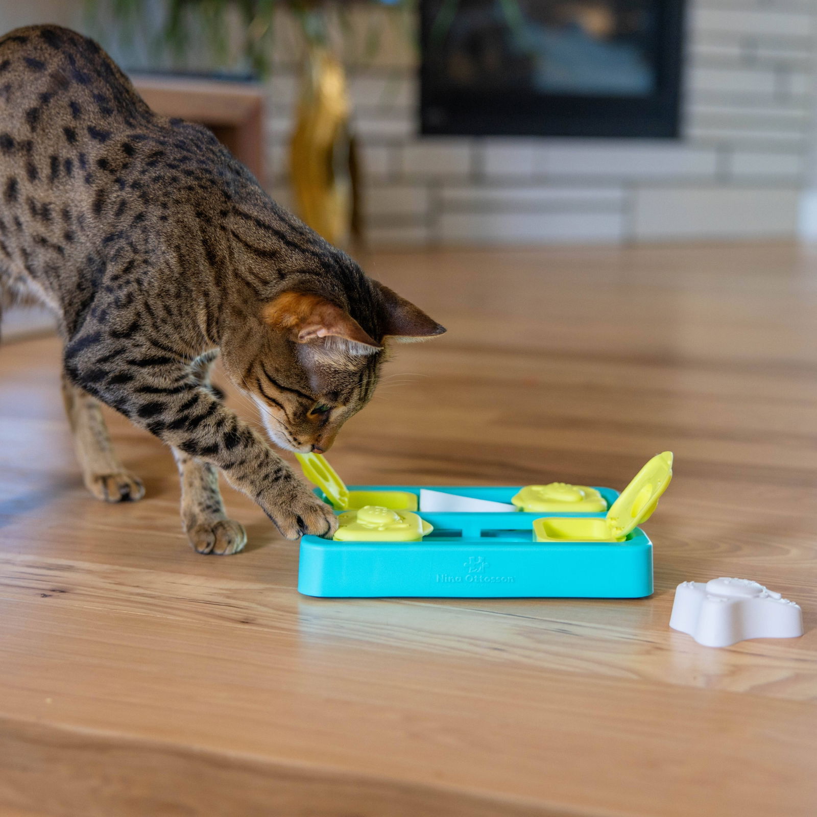 Nina Ottosson Catstages Kitty Cube Game Blue