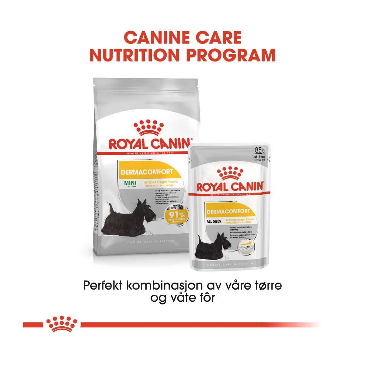 Royal Canin Dermacomfort Adult Loaf våtfôr til hund