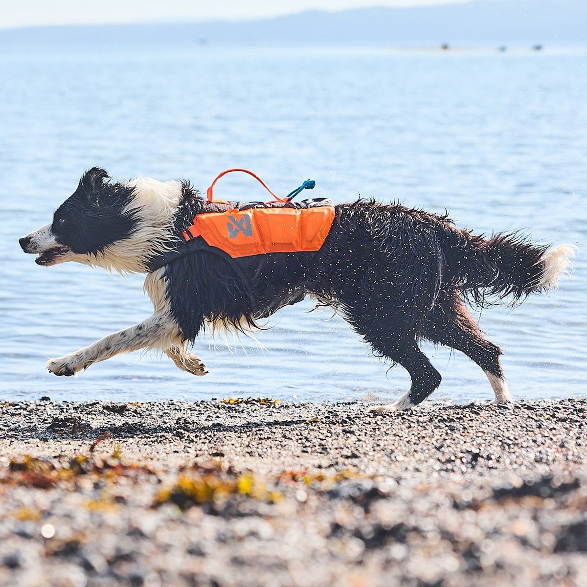 Non-Stop Protector life jacket black/orange