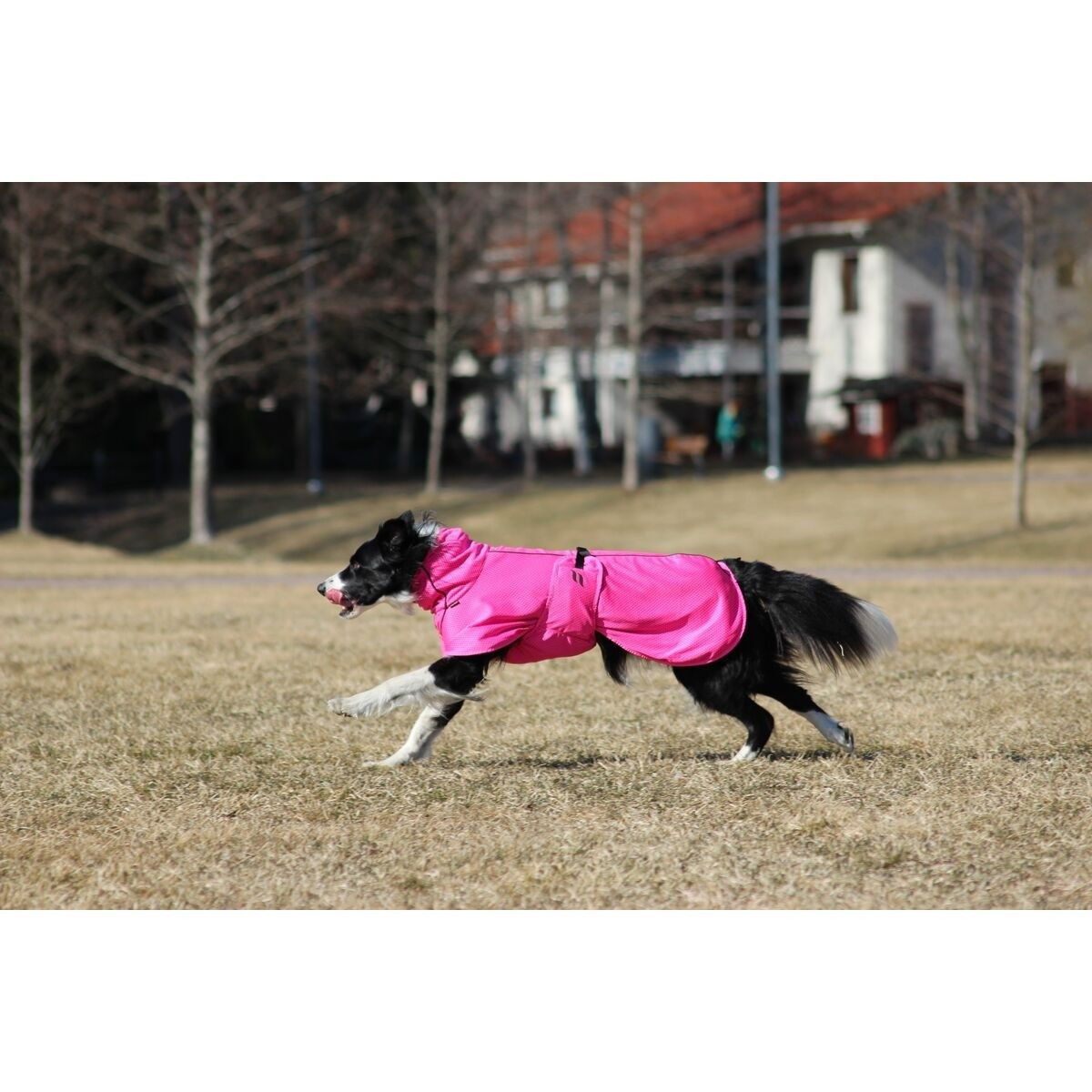 Back on Track Mesh jacket Limited Edition, Hot Pink