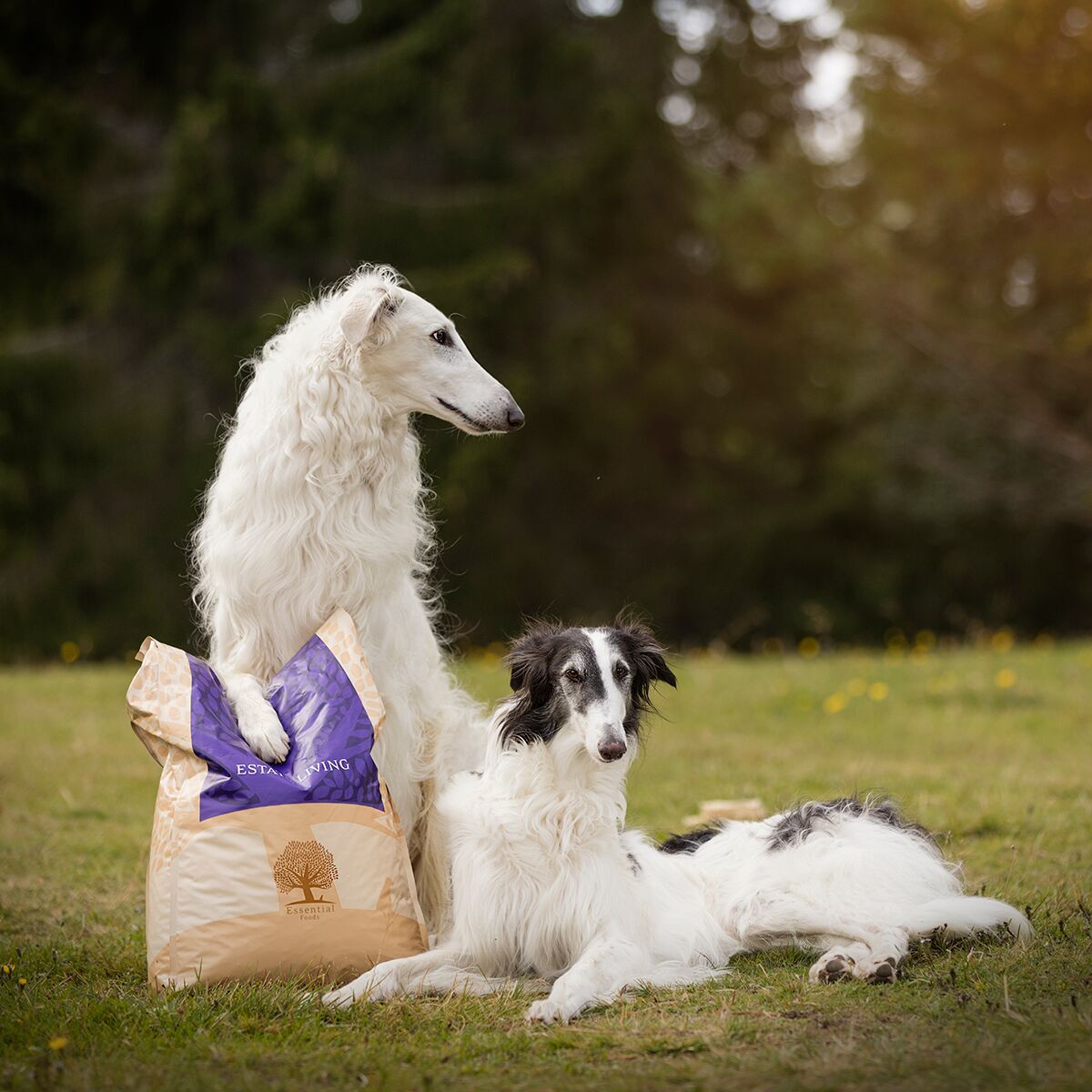 ESSENTIAL ESTATE LIVING 10kg