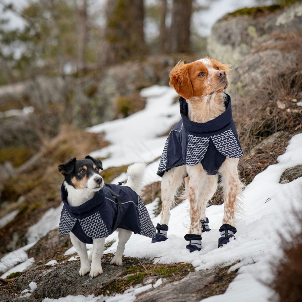 Feel Active Glacier winter parka