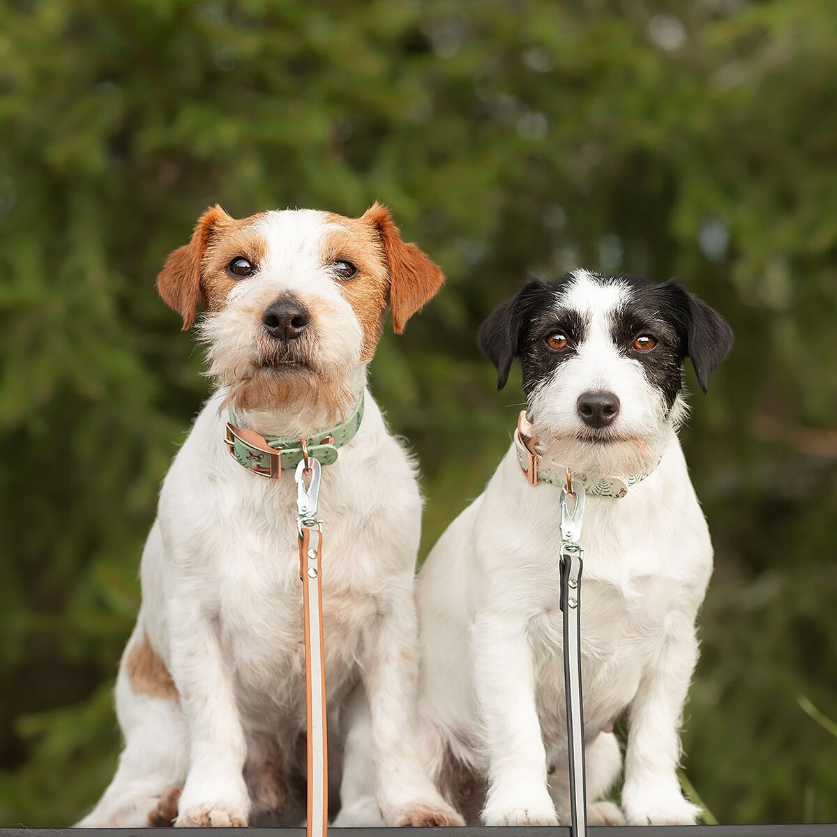 Tyylivoitto Shine Eazy leash, cognac