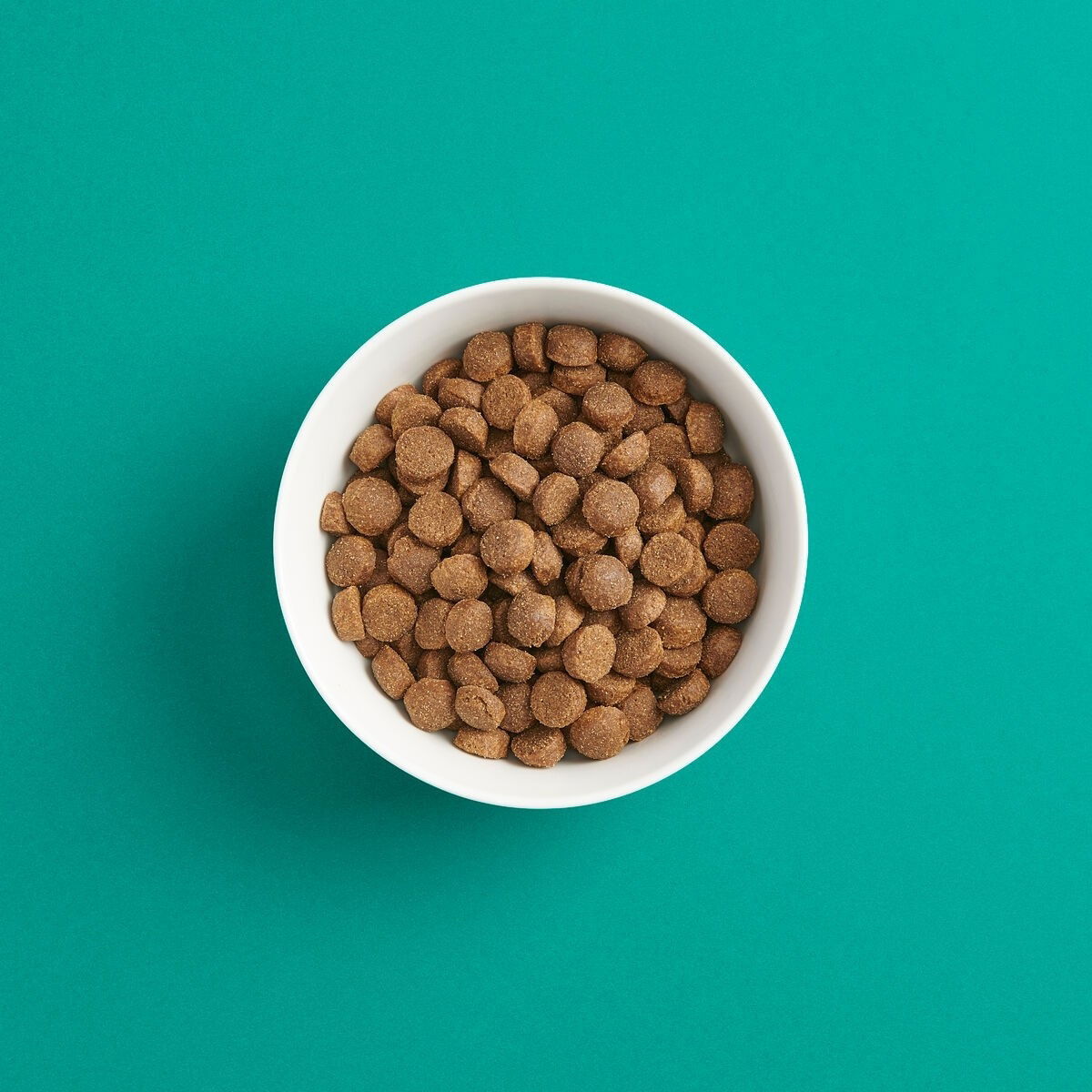 Smaak Dog Dry Active