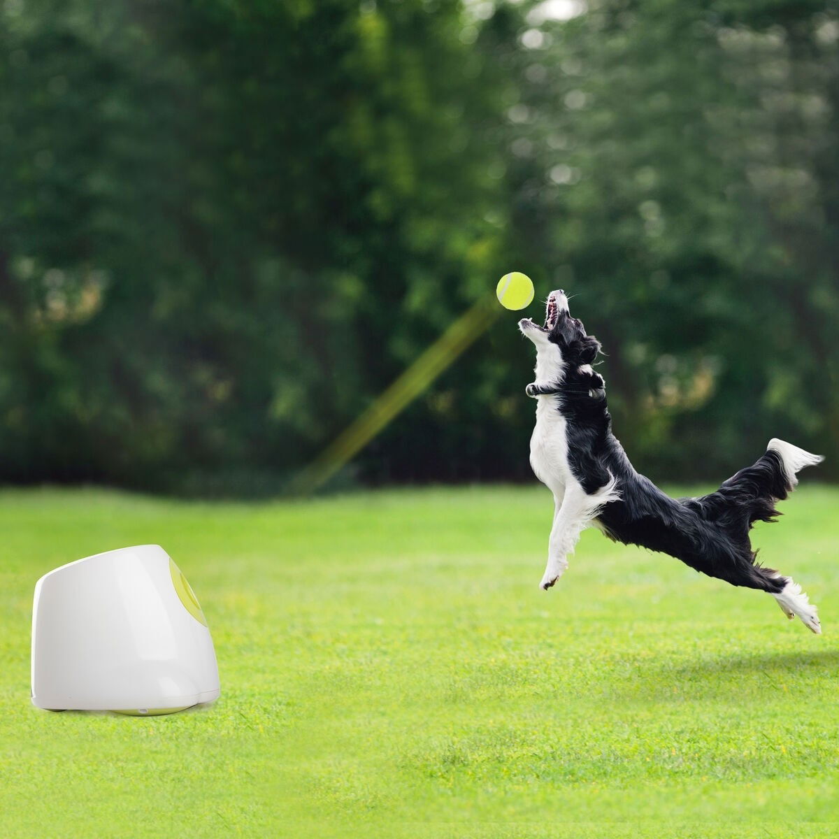 Hundeleke Hyper Fetch Maxi Ballkaster