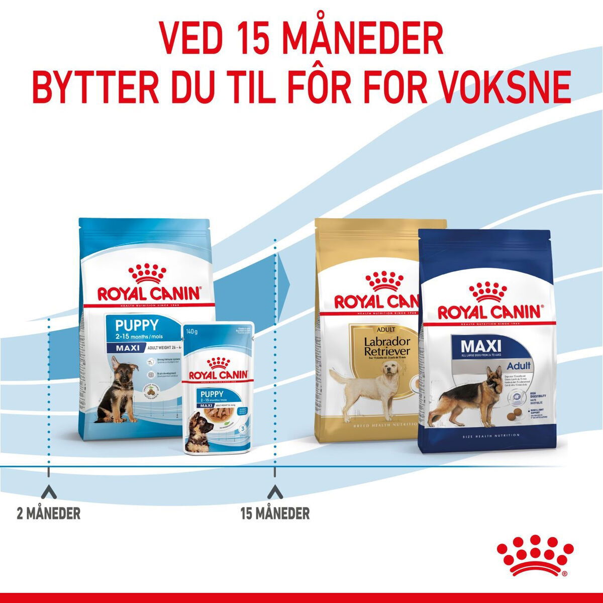 Royal Canin Maxi Puppy Tørrfôr til valp