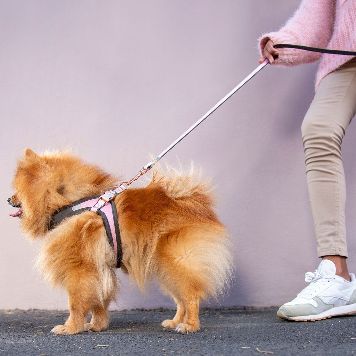 Rogz Urban Fast-Fit harness, rose