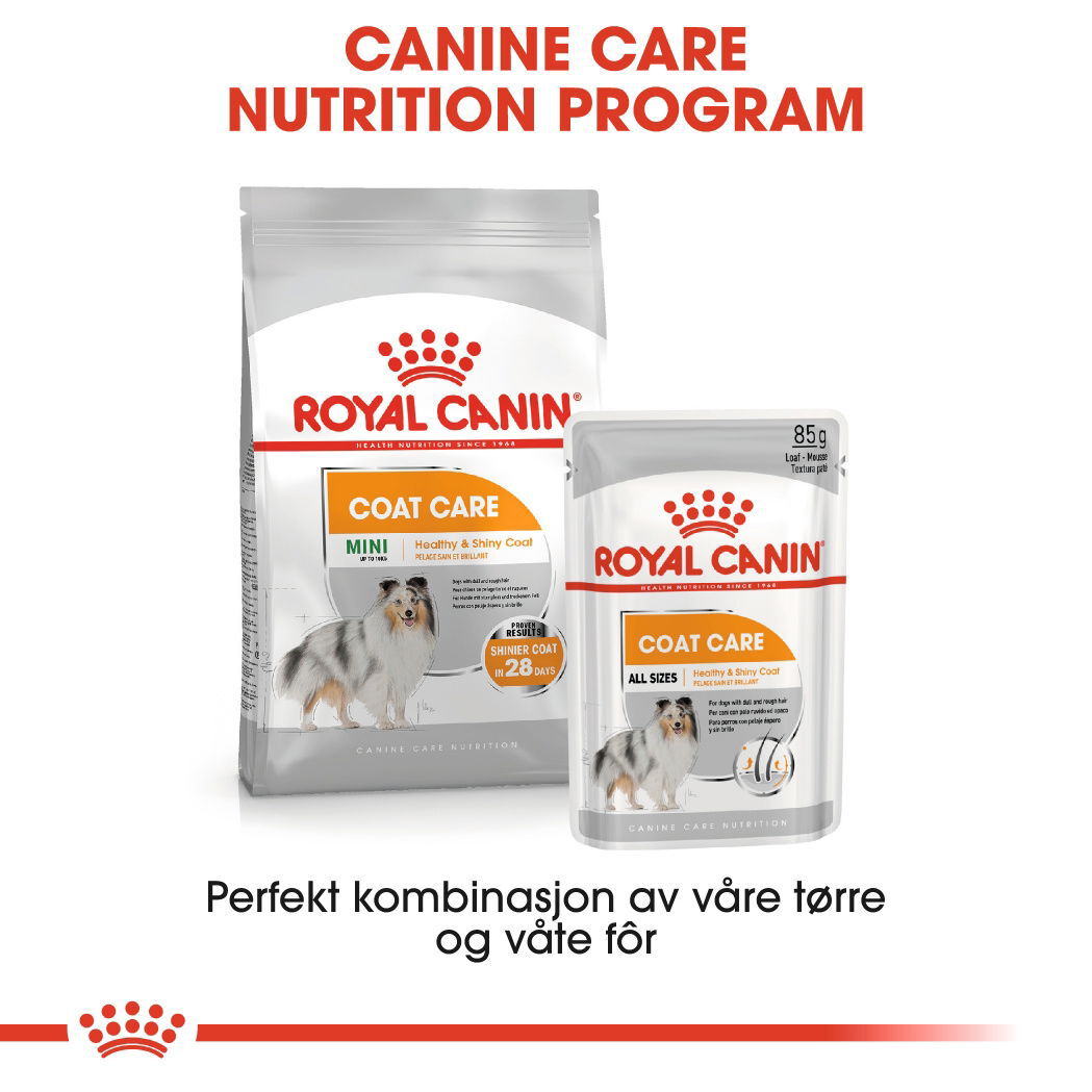 Royal Canin Coat Care Adult våtfôr til hund