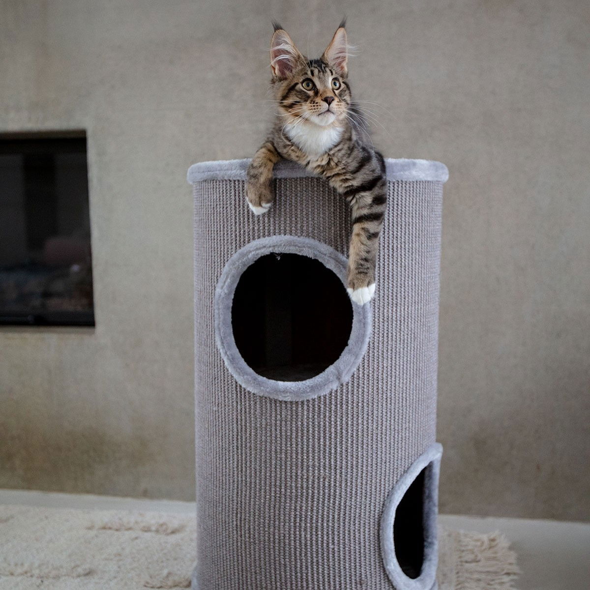 L&B Hidy Scratching Barrel