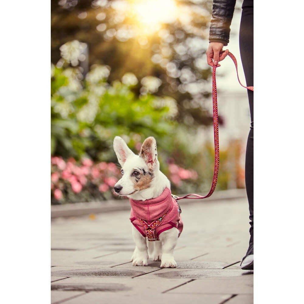 Hurtta Razzle-Dazzle Midlayer red