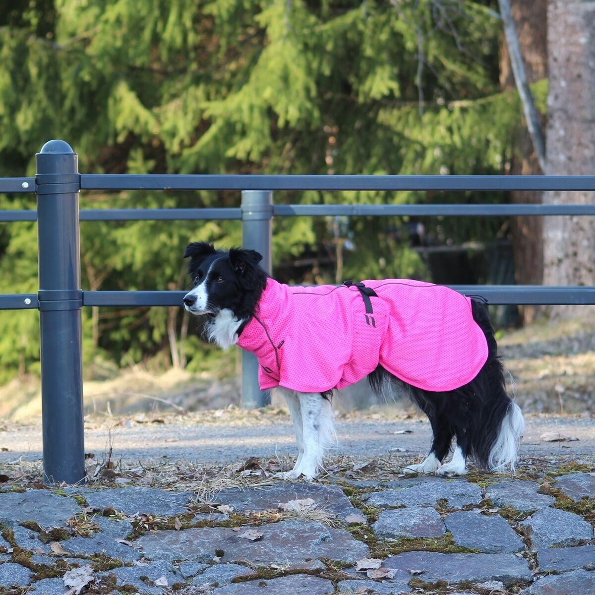 Back on Track Mesh jacket Limited Edition, Hot Pink