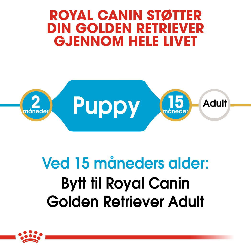 Royal Canin Golden Retriever Puppy tørrfôr til hundvalp