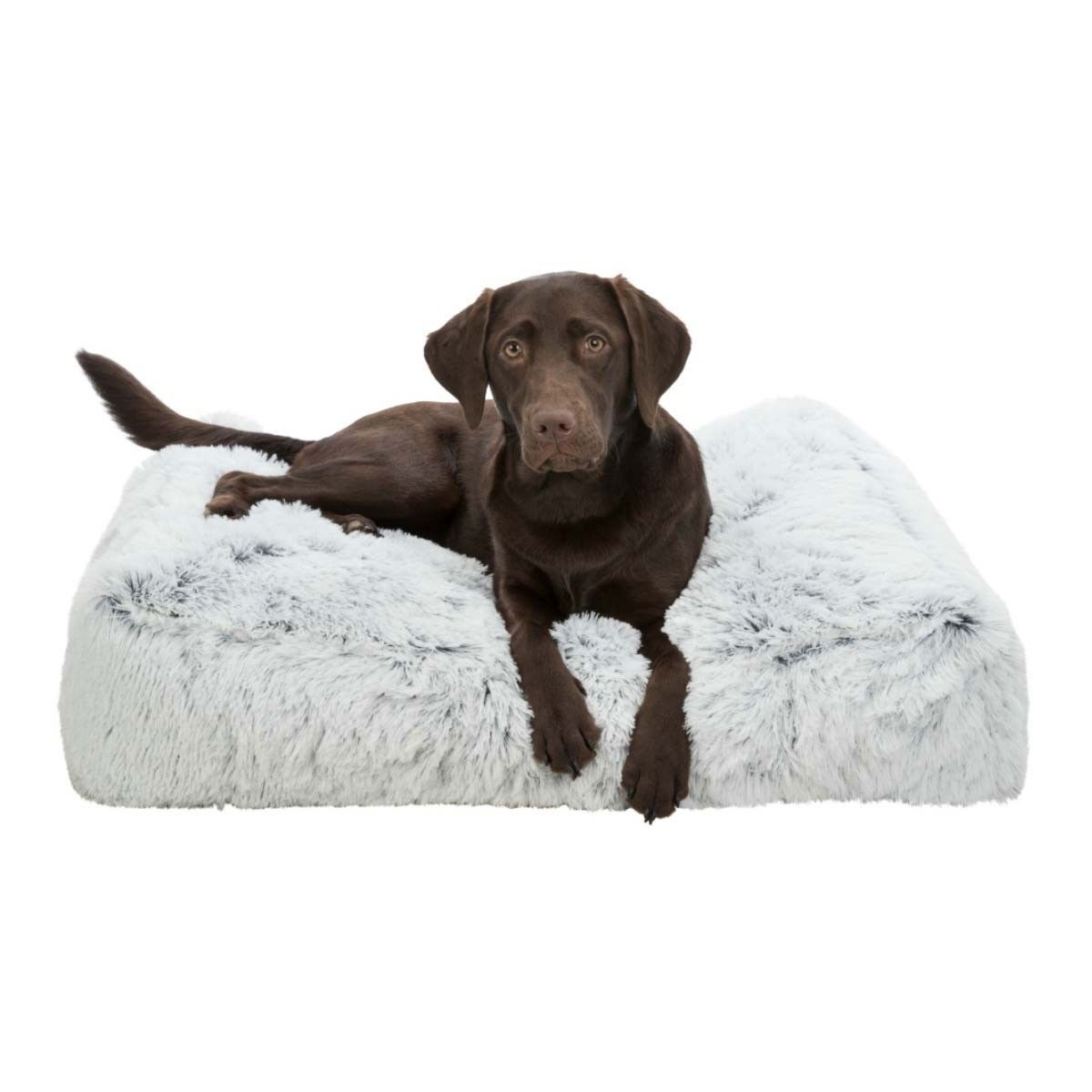 Harvey cushion, 80 × 60 cm, white-black