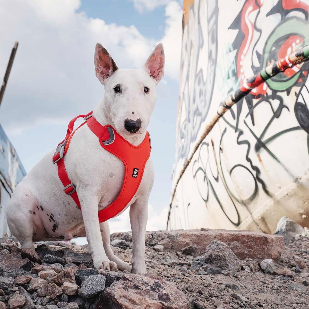 Hurtta Weekend Warrior ECO Harness rosehip