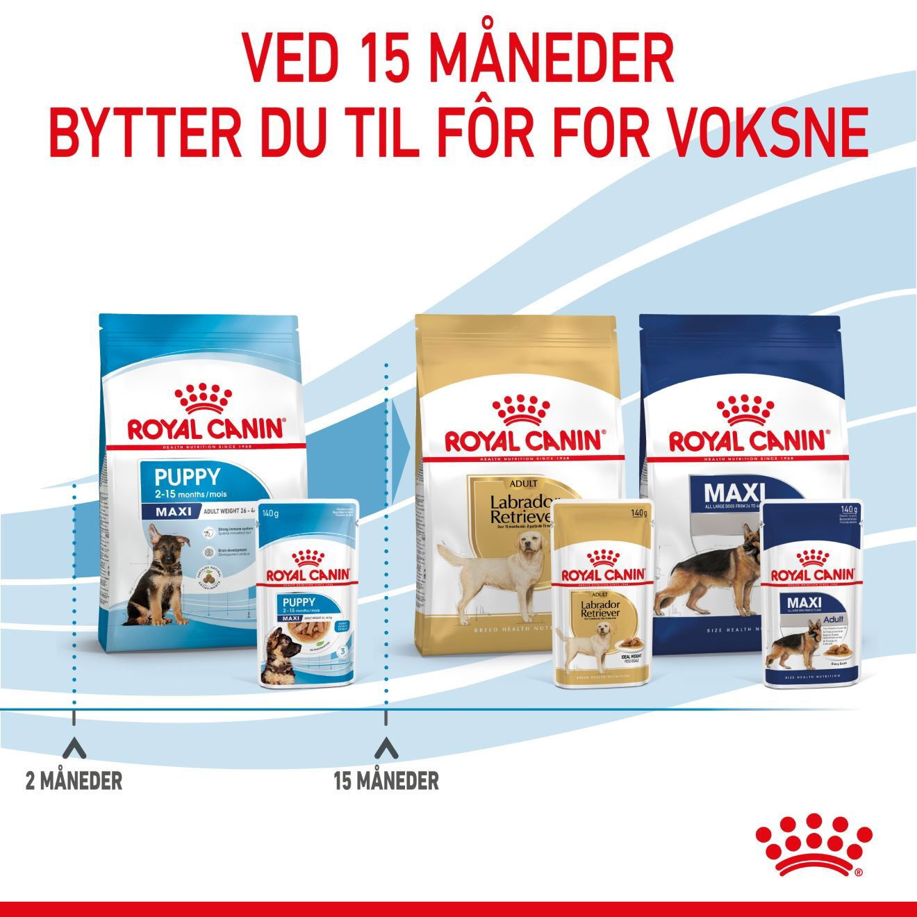 Royal Canin Maxi Puppy Gravy våtfôr til valp