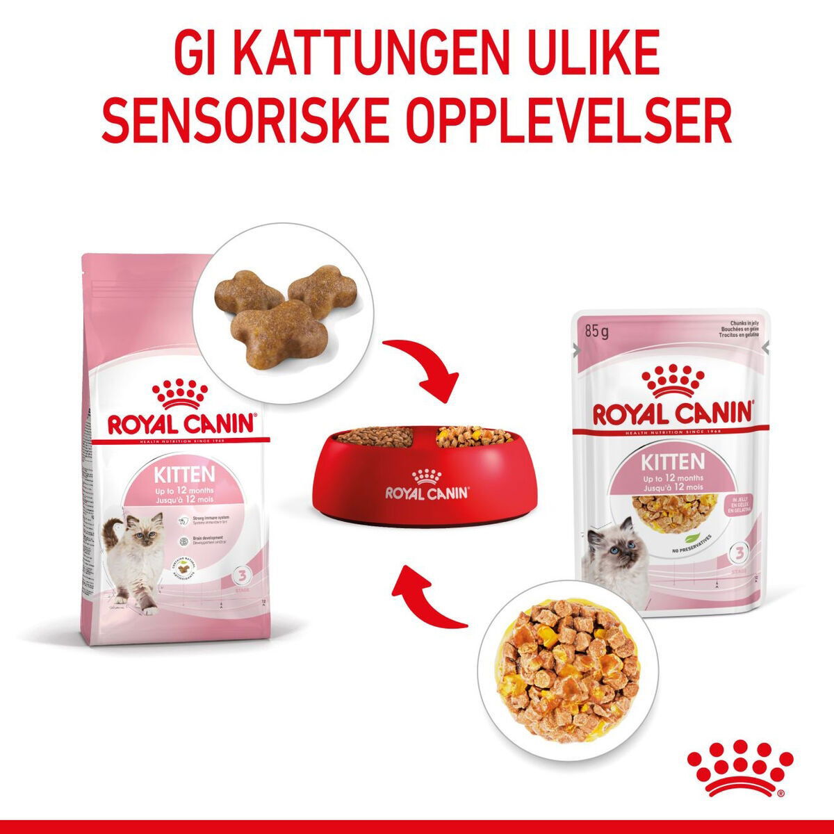 Royal Canin Kitten Jelly våtfôr til kattunge