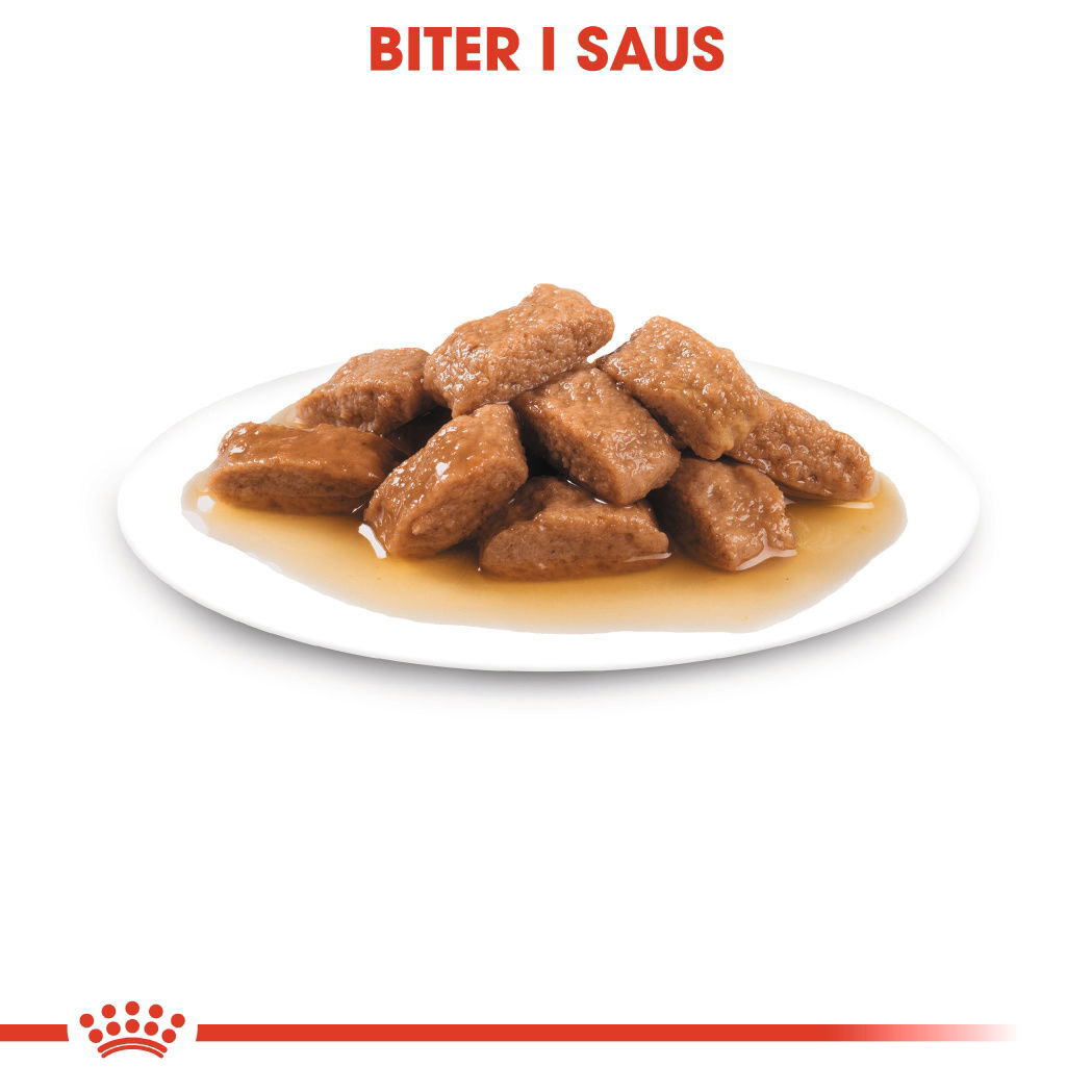 Royal Canin Medium Ageing Gravy våtfôr til hund