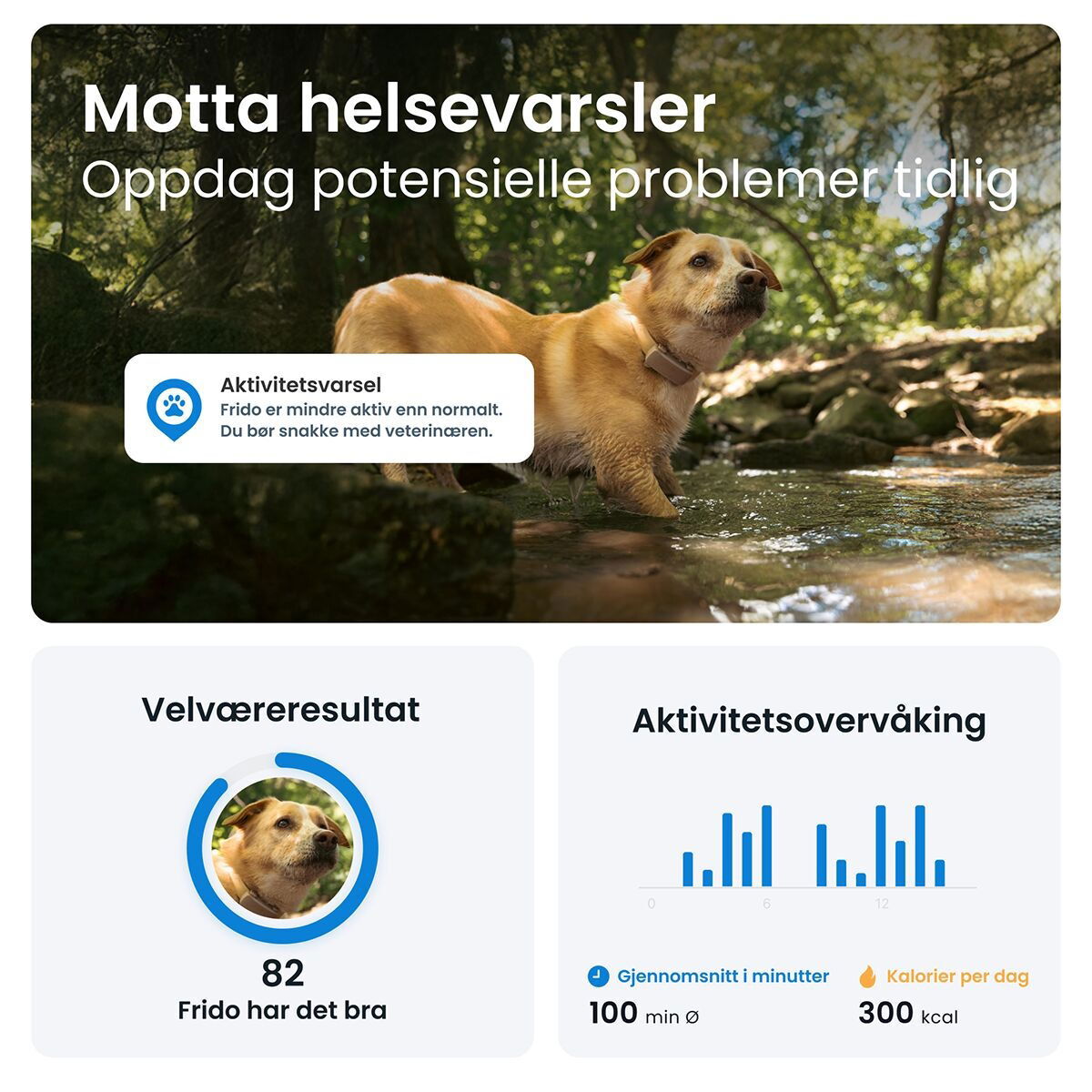 Tractive for DOG 6 tracker