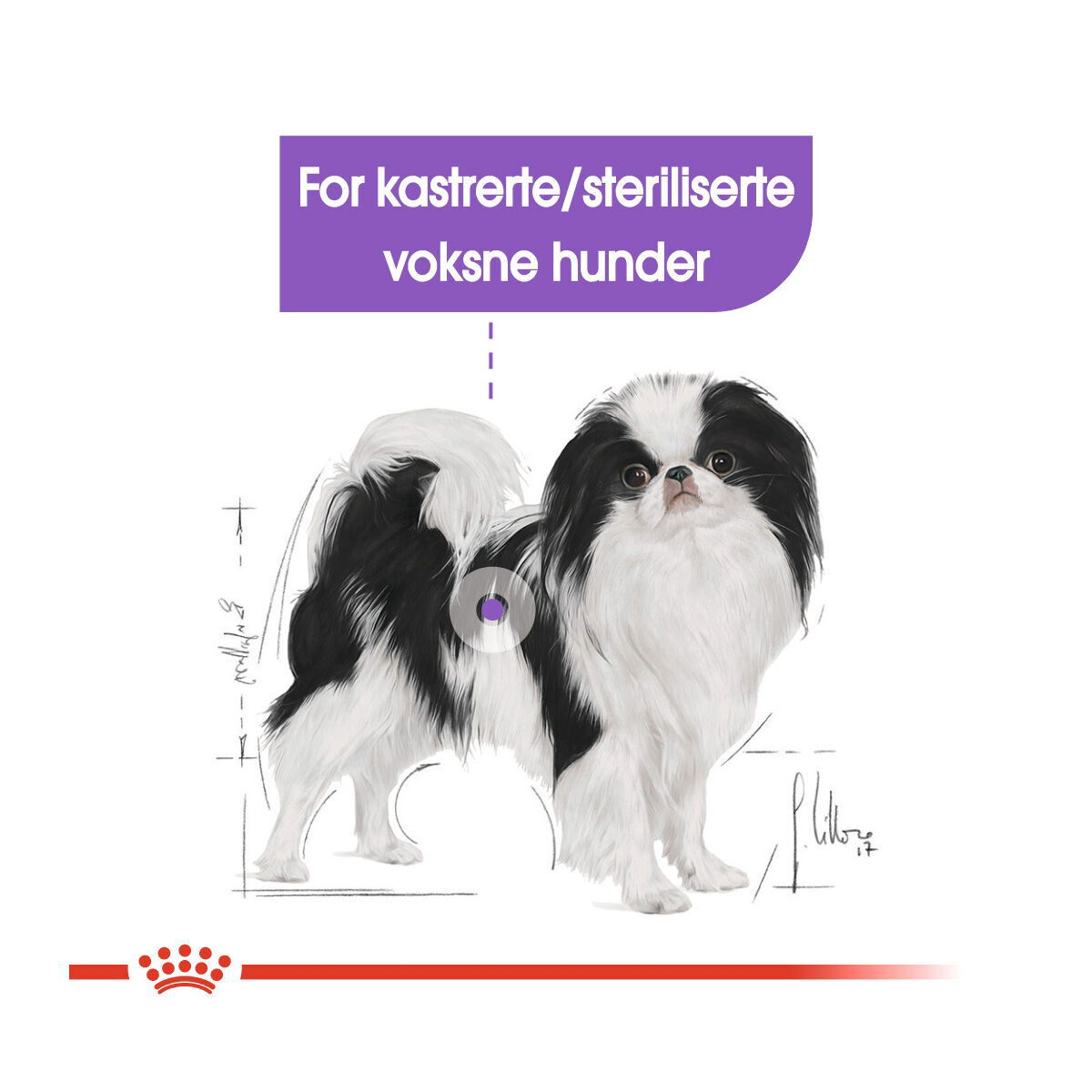 Royal Canin Sterilised X-small Adult tørrfôr til hund