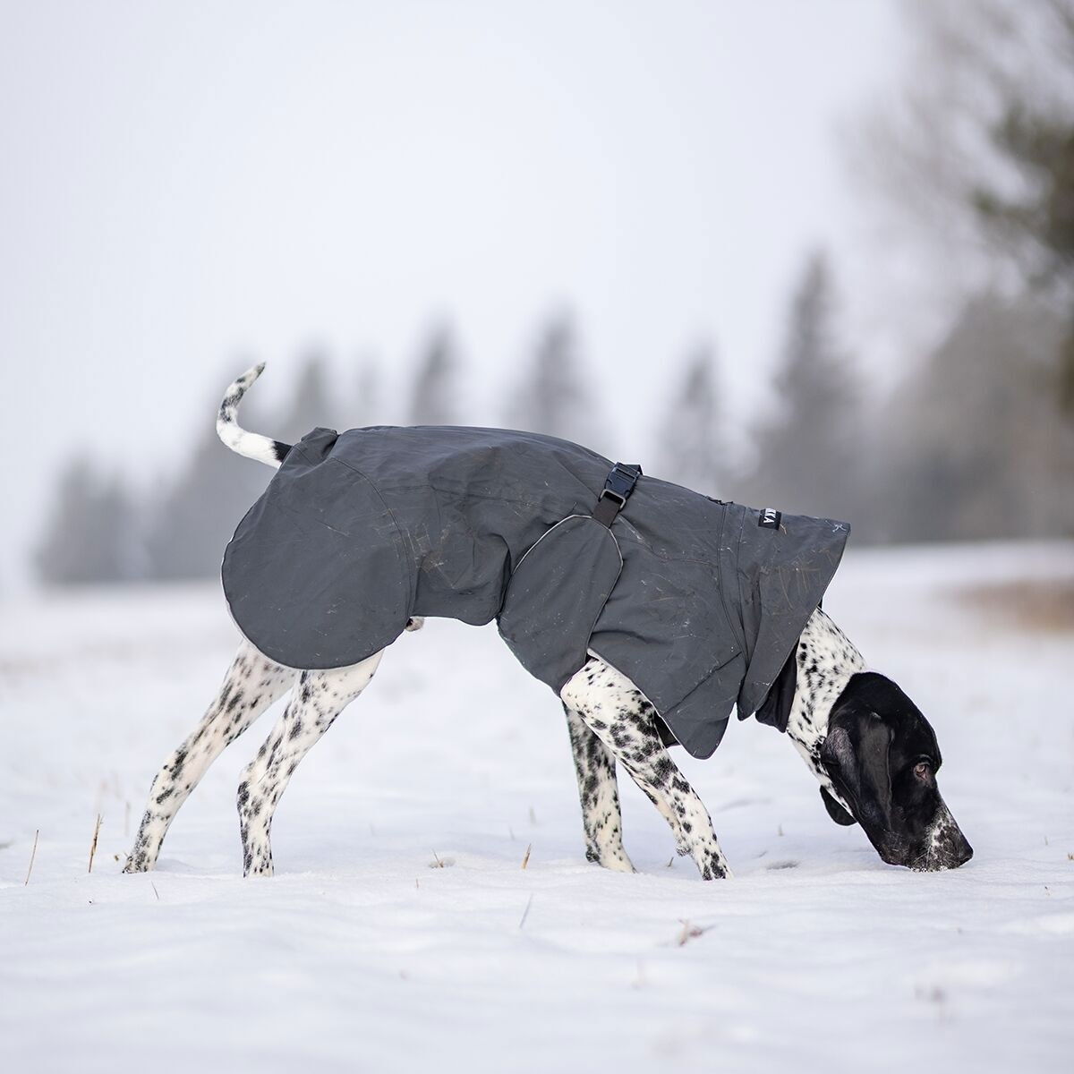 PAIKKA Visibility Winter Jacket, dark