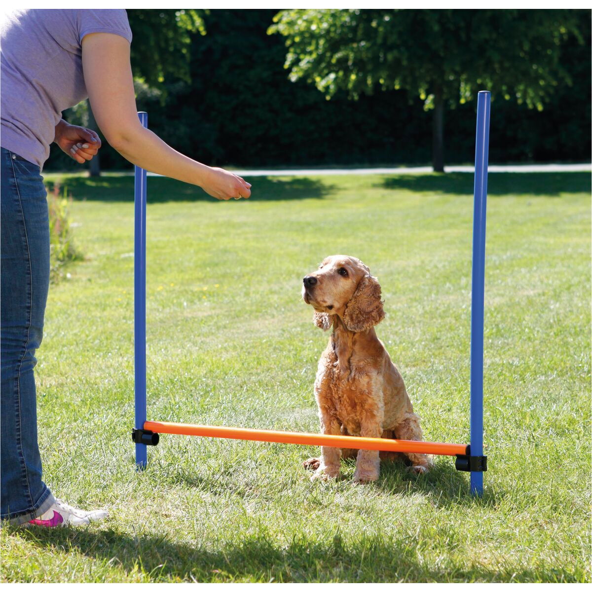 Dog Activity Agility hurdle, plastic, 123 × 115 cm, ø 3 cm, blue/orange