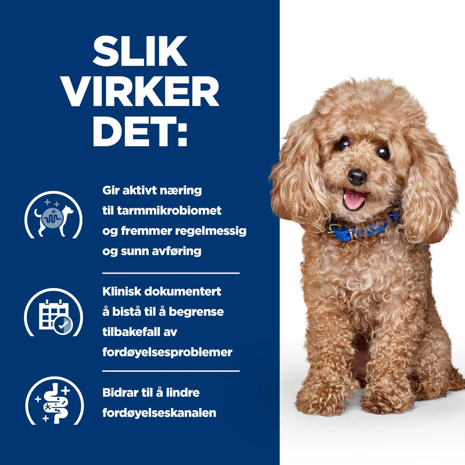 Hill's Prescription Diet Canine GI Biome Mini