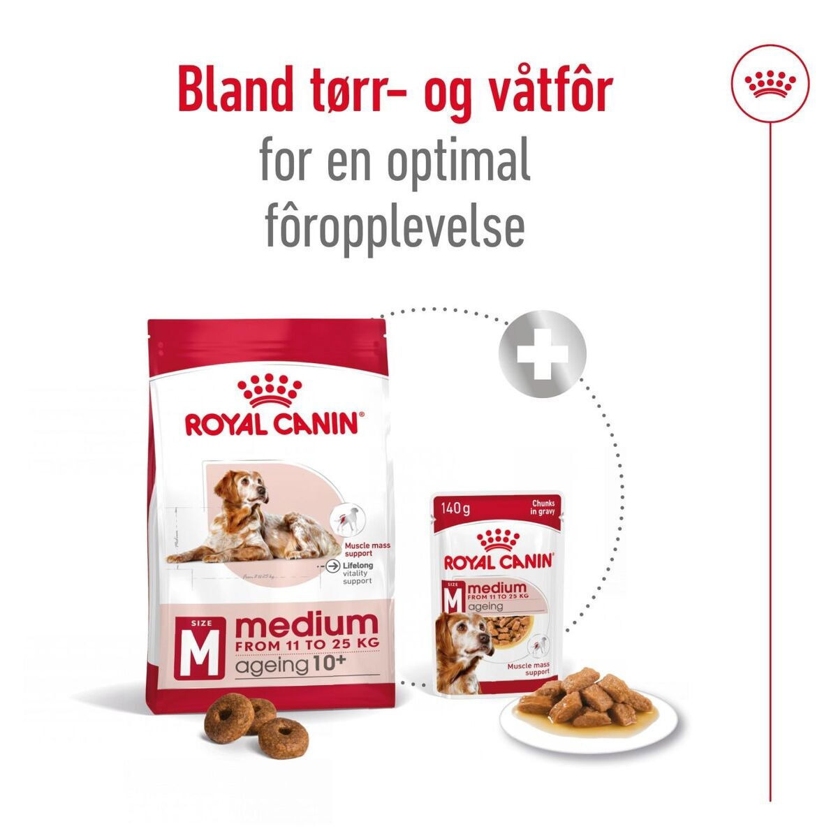 Royal Canin Medium Ageing 10+ tørrfôr til hund