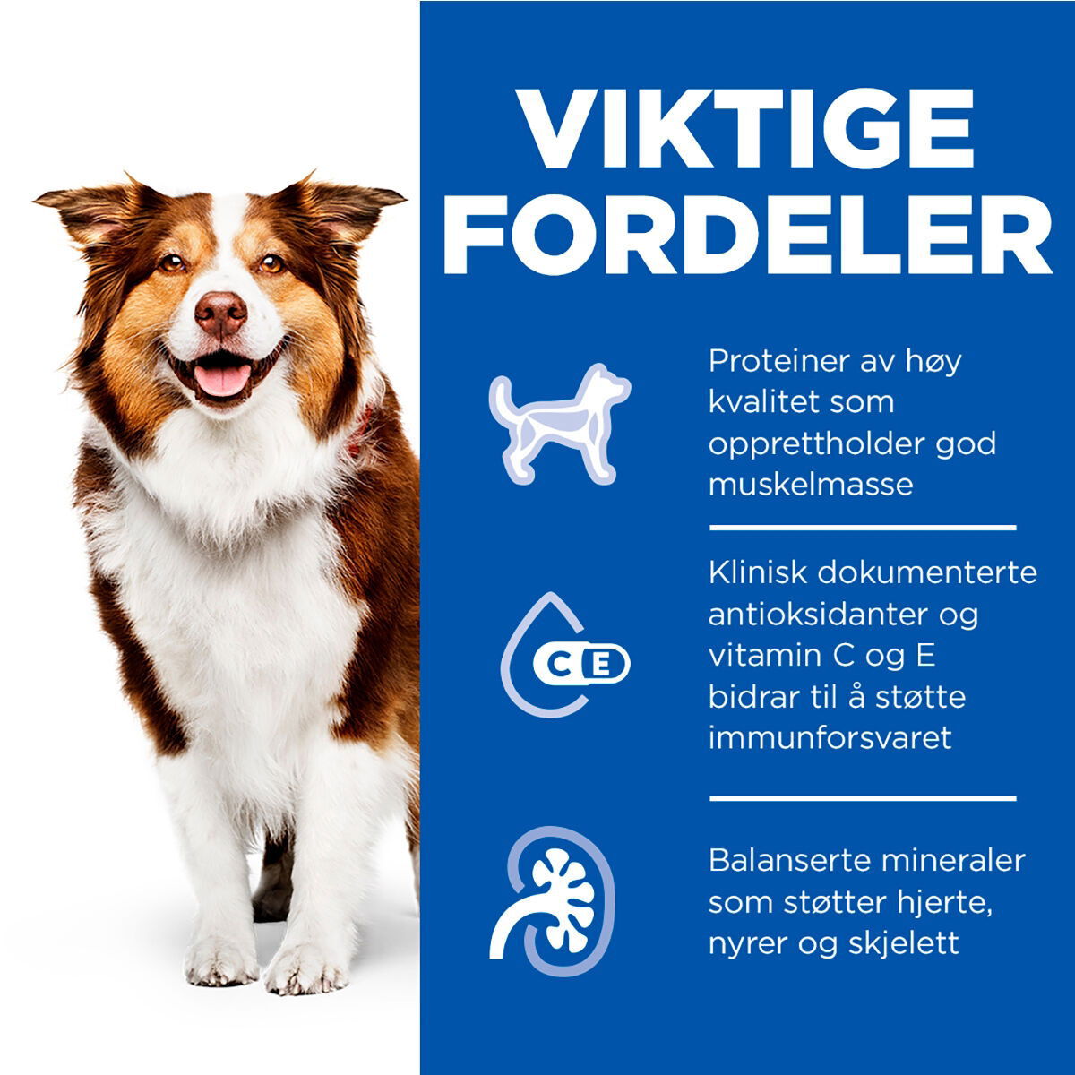 Hill's SP Canine Mature Beef