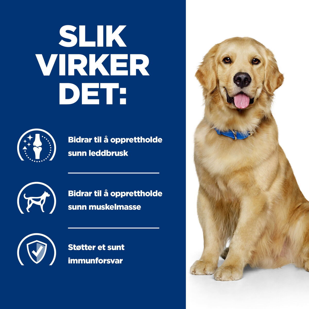 Hill's PD Canine j/d Chicken 370g