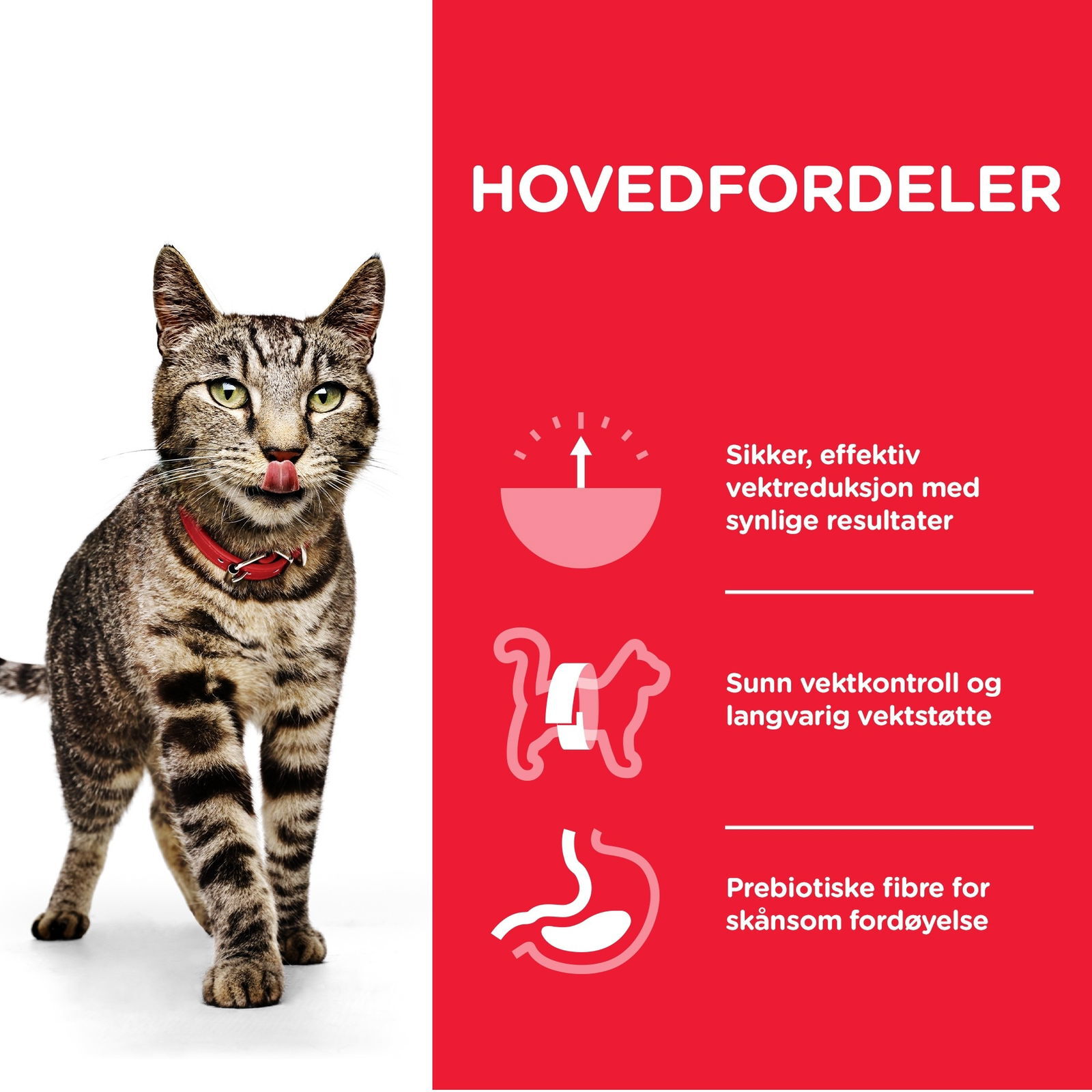 Hill's Science Plan Cat Adult Perfect Weight Chicken