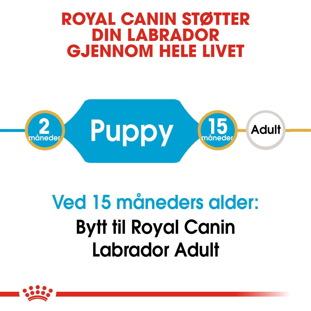 Royal Canin Labrador Retriever Puppy tørrfôr til hundvalp