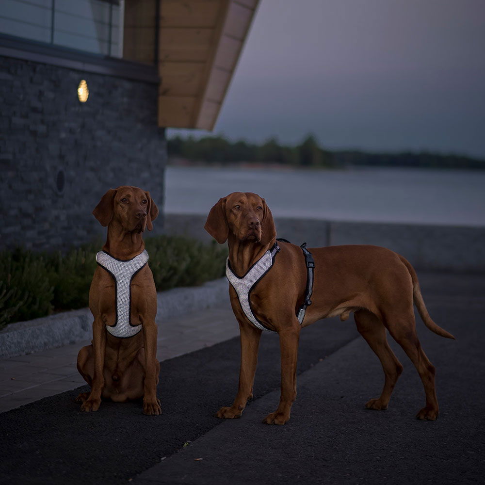 Feel Active Reflective harness Black