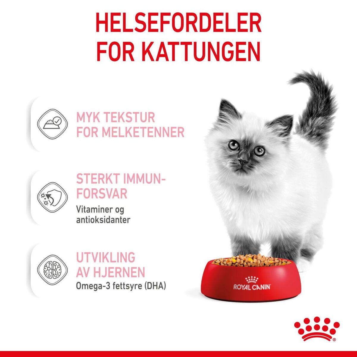 Royal Canin Kitten Jelly våtfôr til kattunge