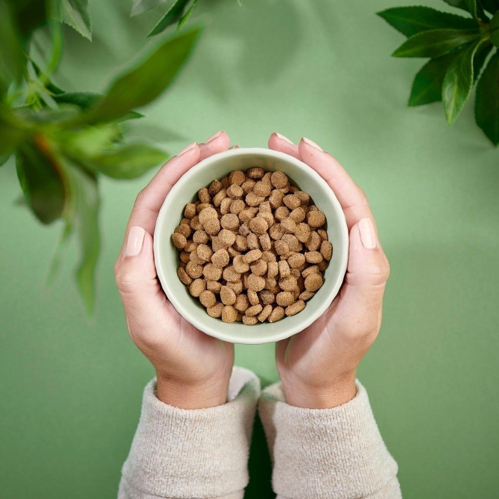 PN Cat GF Sterilised Chicken