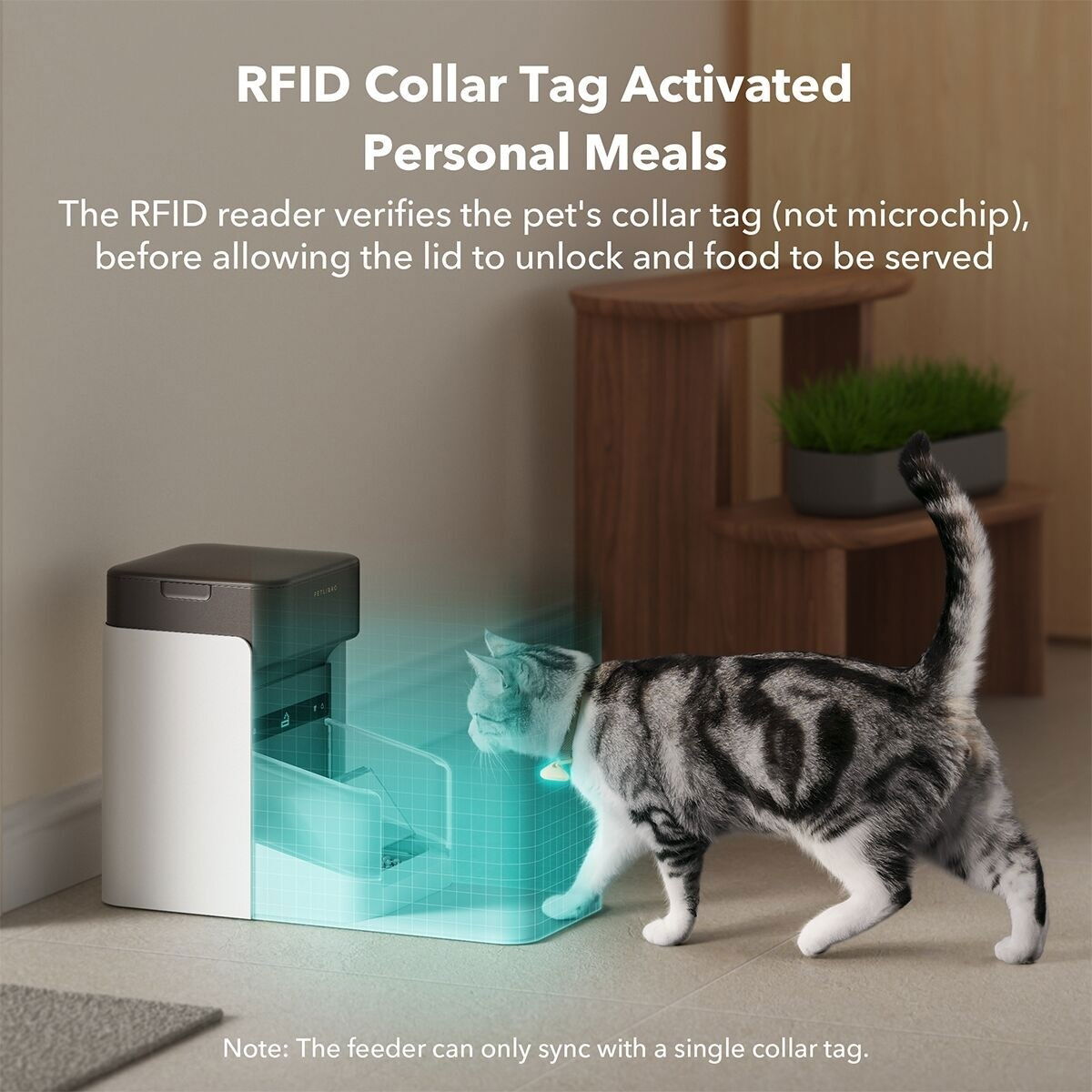Petlibro one RFID Pet Feeder