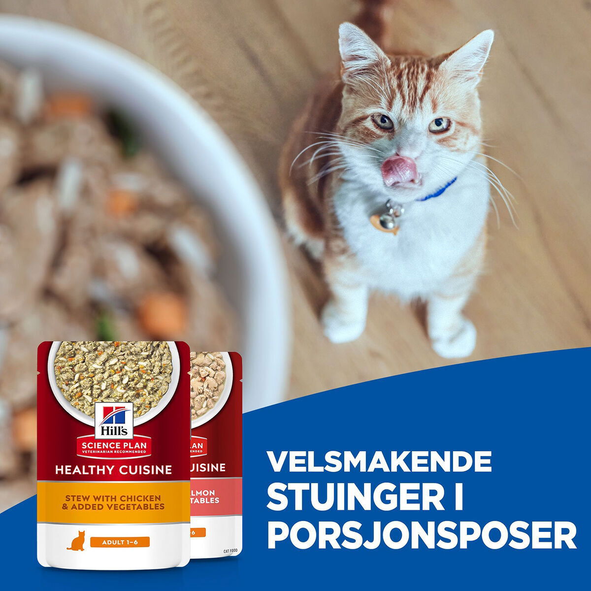 Hill's SP Cat Adult Healthy Cuisine Stews Ch/Sa 12x80g