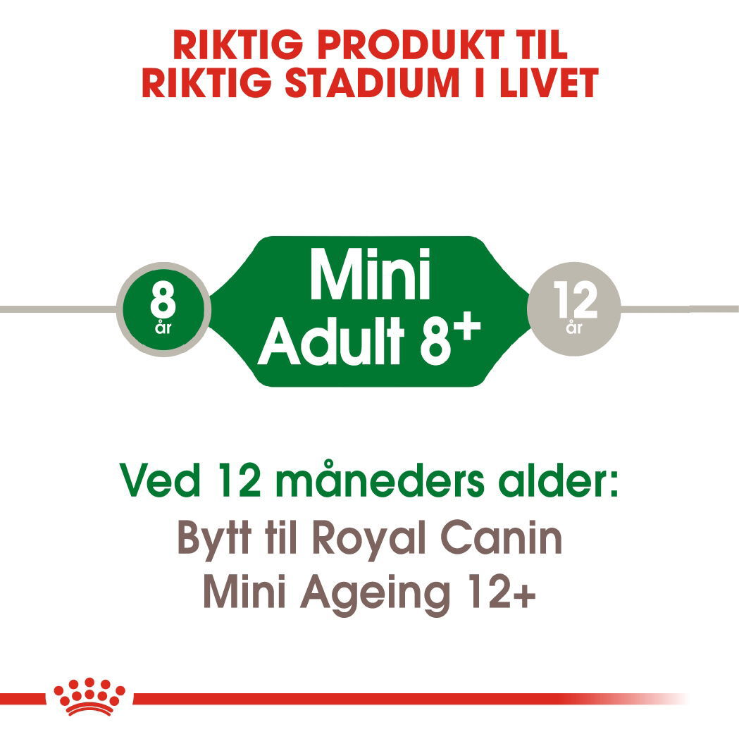 Royal Canin Mini Adult 8+ tørrfôr til hund