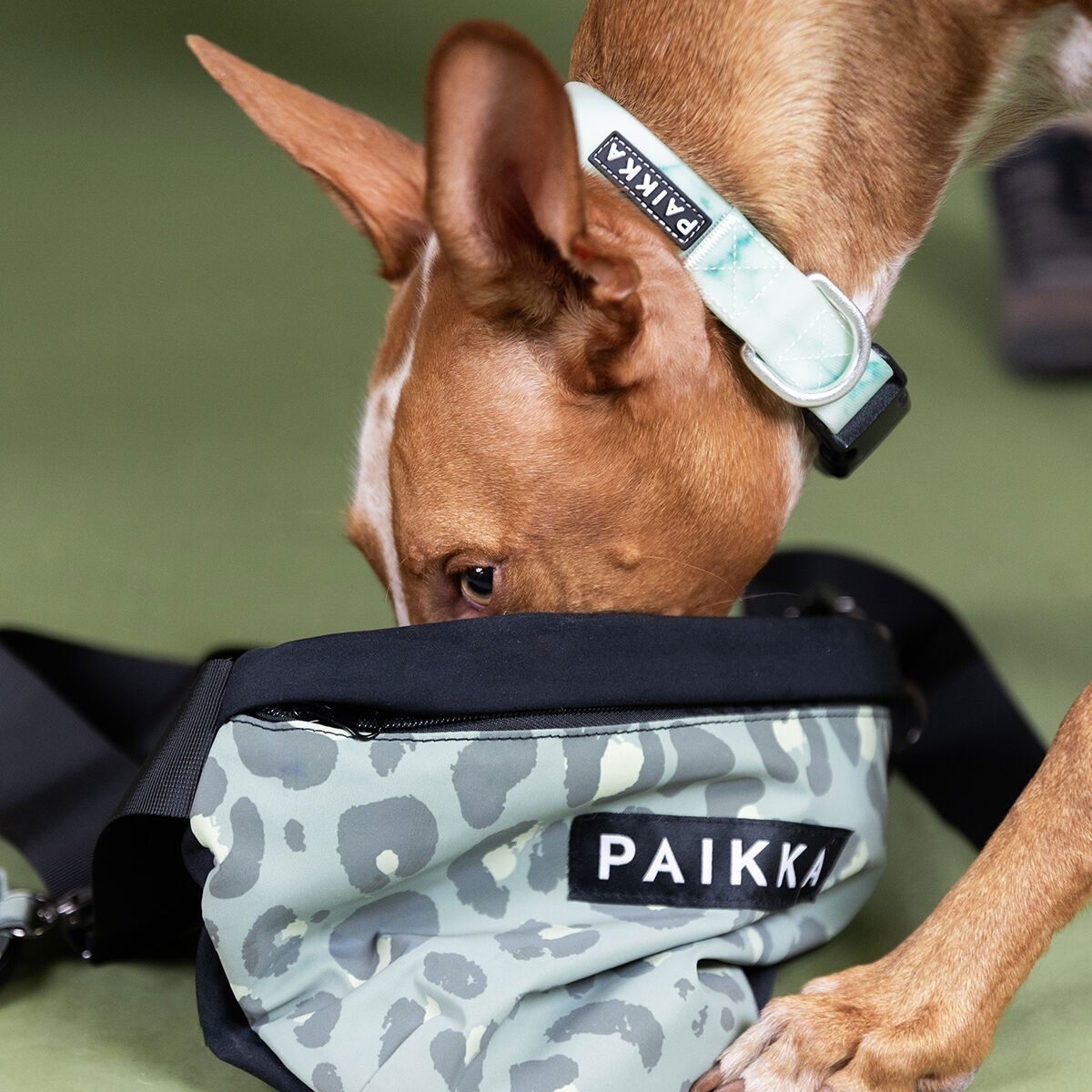 PAIKKA Visibility Treat Bag green leo