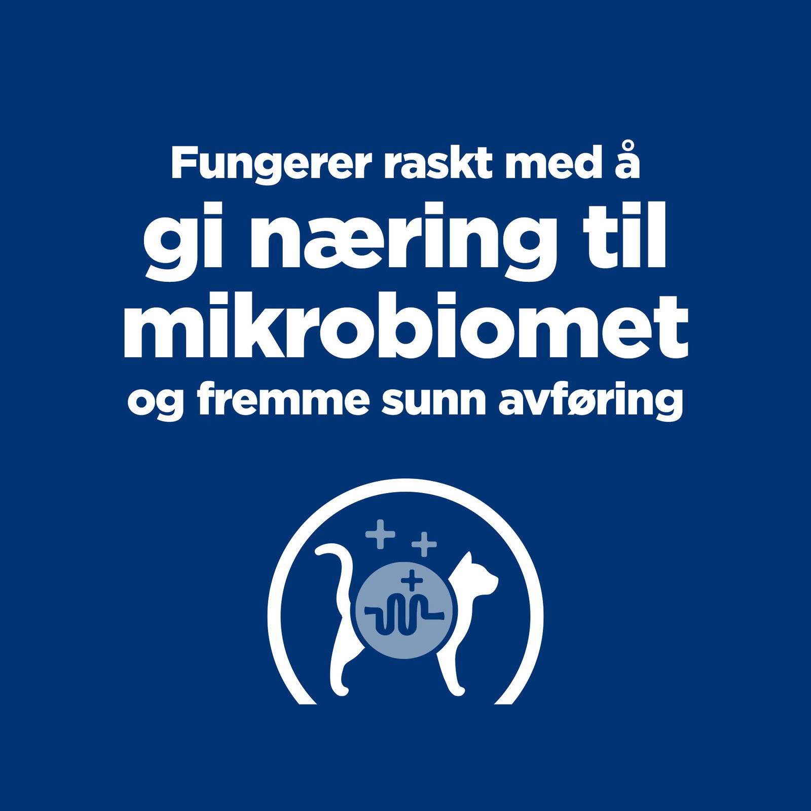 Hill's PD Feline Gastro Biome Chicken