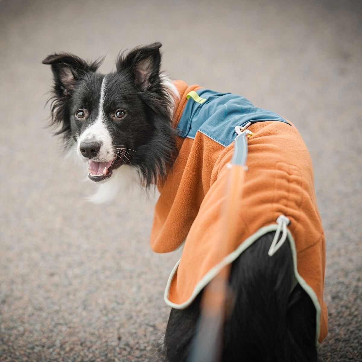 Woolly Wolf Alpha 360 Fleece pullover, Terracotta Mix
