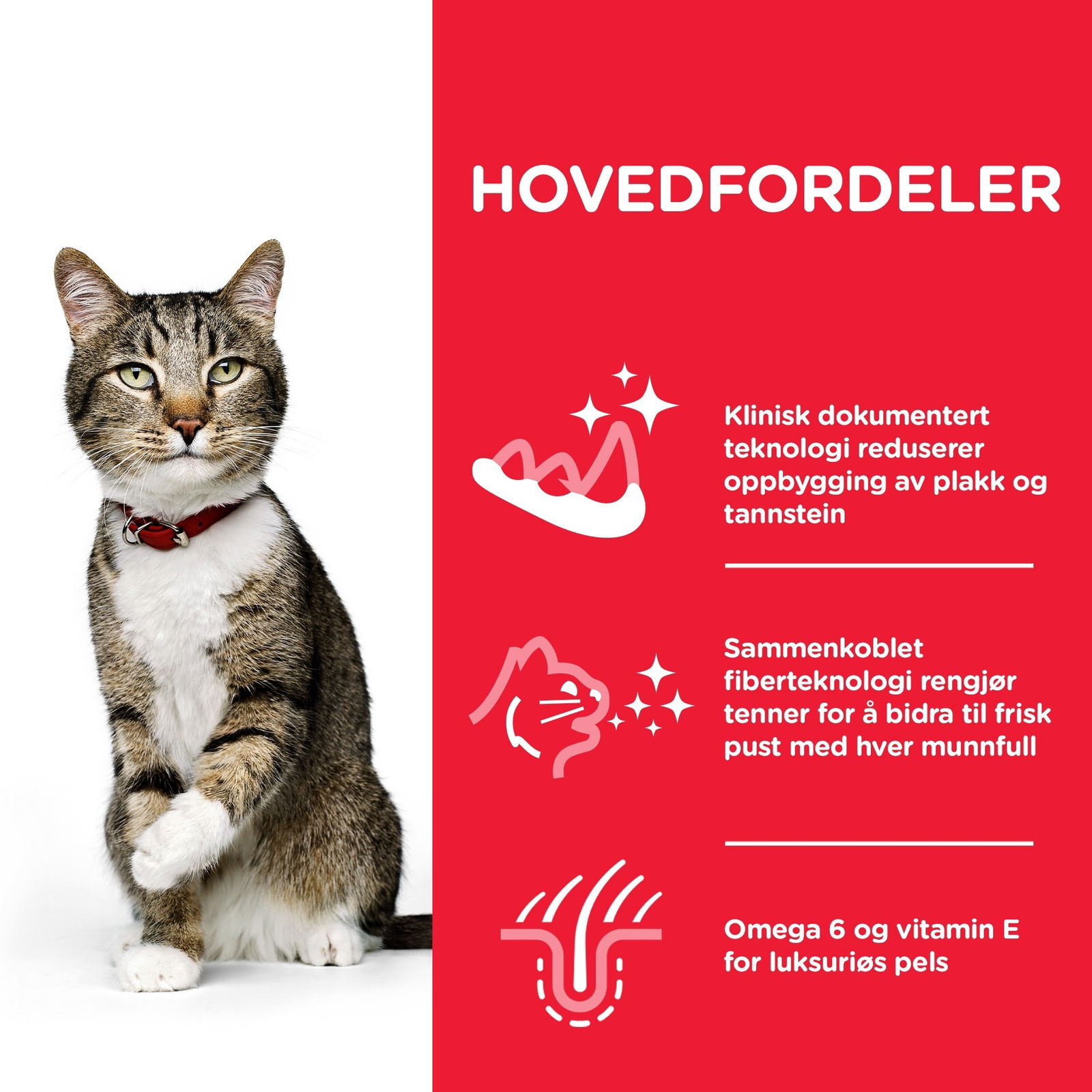 Hills Science Plan Feline Adult Oral Care