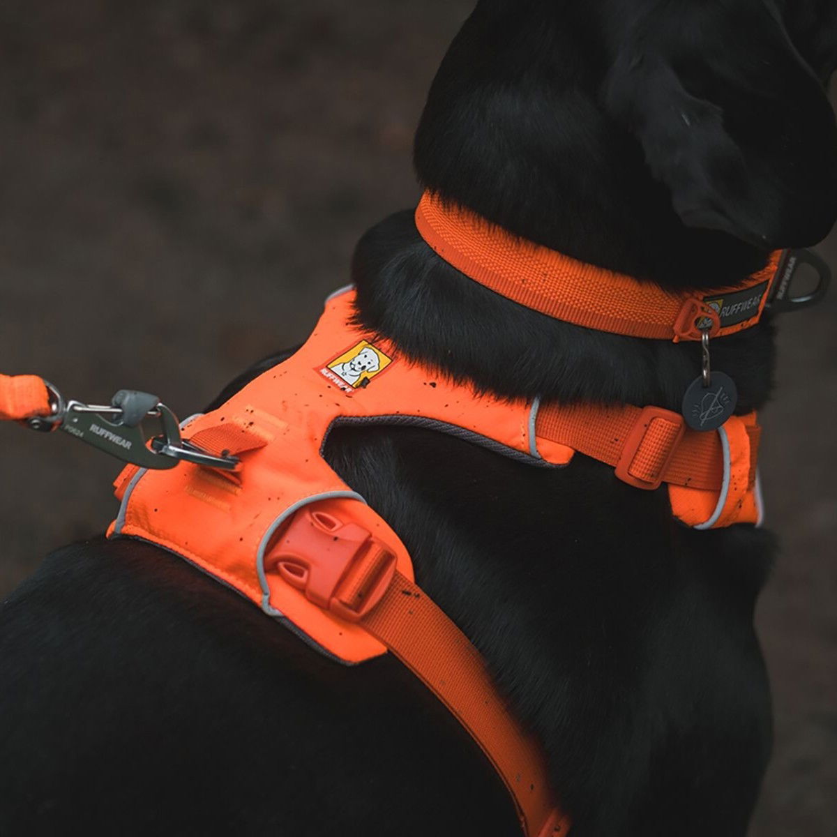 Ruffwear Front Range harness, Blaze Orange